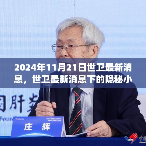 世卫最新消息背后的隐秘小巷美食探秘之旅（2024年11月21日）