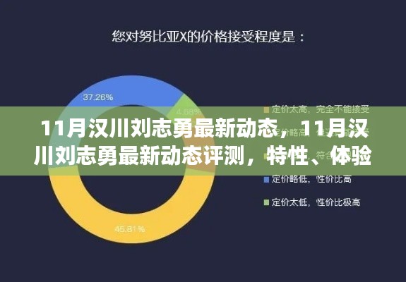 汉川刘志勇最新动态评测，特性、体验、竞争分析与用户洞察深度解析