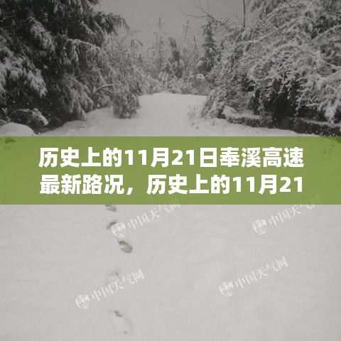 历史上的11月21日奉溪高速路况详解与查询技能掌握指南