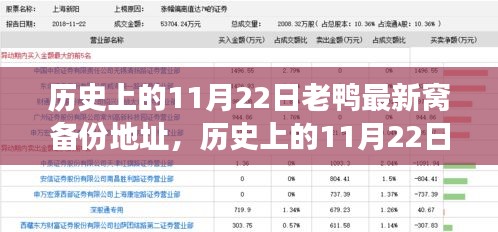 历史上的11月22日，老鸭最新窝备份地址背后的故事与深远影响