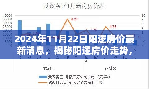 阳逻房价最新动态，深度分析走势与揭秘最新消息（2024年11月22日）