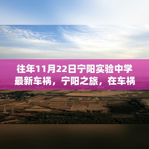 宁阳实验中学车祸后，自然怀抱中的内心平静之旅