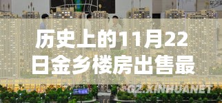 历史上的今天，揭秘金乡楼房出售最新消息，独家报道于11月22日