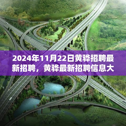 黄骅最新招聘信息揭秘，求职者的福音，2024年11月22日