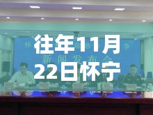 往年11月22日怀宁案件深度剖析与观点阐述，最新案例分析报告