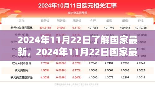 从某某观点看，2024年11月22日国家最新动态深度探析与解读