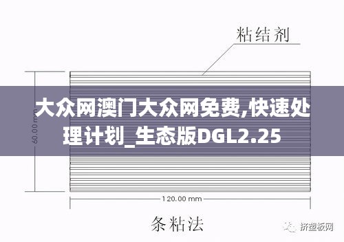 大众网澳门大众网免费,快速处理计划_生态版DGL2.25