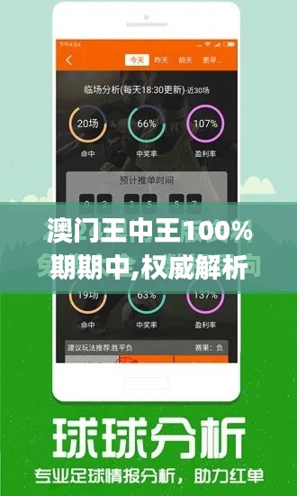 澳门王中王100%期期中,权威解析方法_并行版LIC2.26