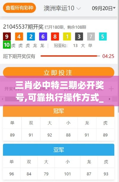 三肖必中特三期必开奖号,可靠执行操作方式_时空版FXN2.13
