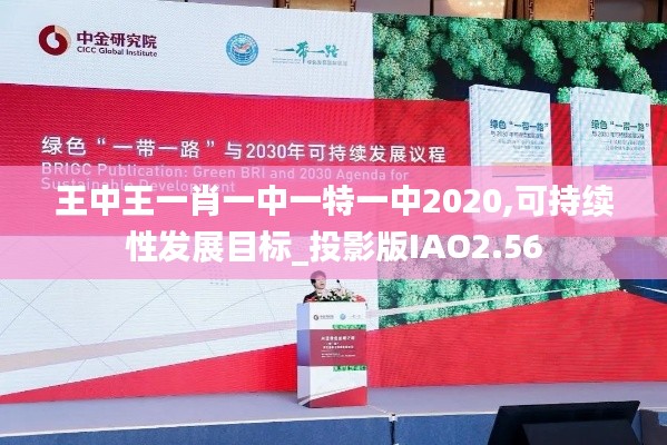 王中王一肖一中一特一中2020,可持续性发展目标_投影版IAO2.56