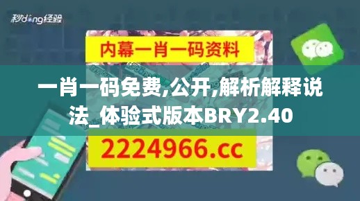 一肖一码免费,公开,解析解释说法_体验式版本BRY2.40