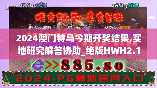 2024澳门特马今期开奖结果,实地研究解答协助_绝版HWH2.18