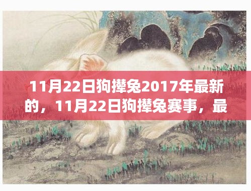 最新动态下的观点碰撞与个人立场，揭秘11月22日狗撵兔赛事