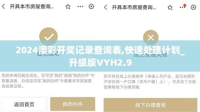 2024澳彩开奖记录查询表,快速处理计划_升级版VYH2.9