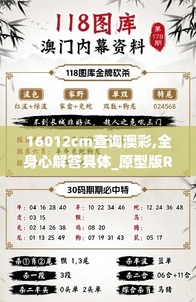 16012cm查询澳彩,全身心解答具体_原型版RLV2.75