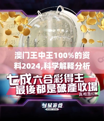 澳门王中王100%的资料2024,科学解释分析_社交版RVX2.83