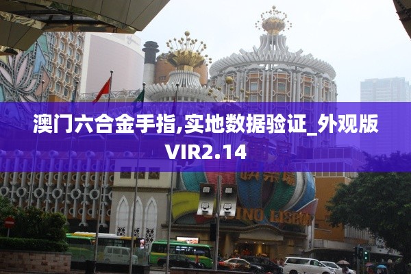 澳门六合金手指,实地数据验证_外观版VIR2.14