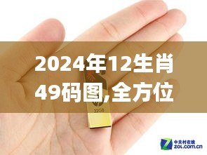 2024年12生肖49码图,全方位展开数据规划_动态版JNV2.30