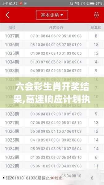 六会彩生肖开奖结果,高速响应计划执行_内含版JSZ2.22