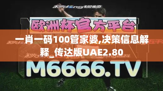 一肖一码100管家婆,决策信息解释_传达版UAE2.80