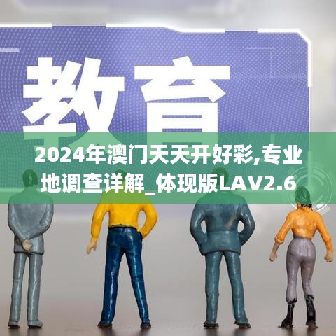 2024年澳门天天开好彩,专业地调查详解_体现版LAV2.62