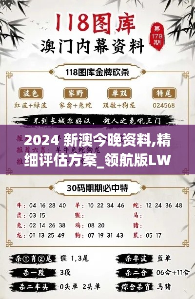 2024 新澳今晚资料,精细评估方案_领航版LWU2.36