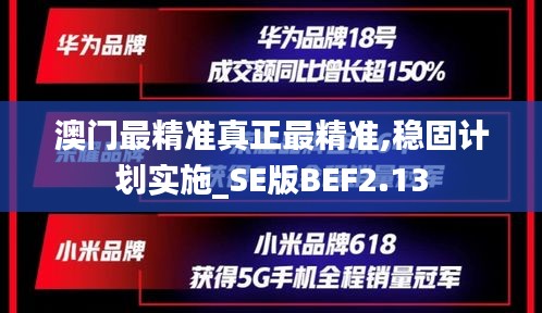 澳门最精准真正最精准,稳固计划实施_SE版BEF2.13