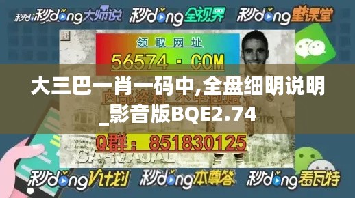 大三巴一肖一码中,全盘细明说明_影音版BQE2.74