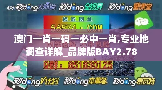 澳门一肖一码一必中一肖,专业地调查详解_品牌版BAY2.78