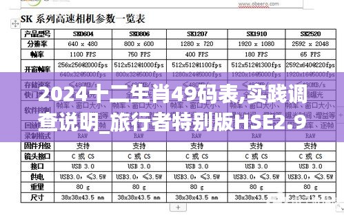 2024十二生肖49码表,实践调查说明_旅行者特别版HSE2.91