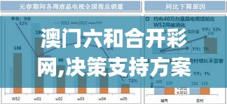 澳门六和合开彩网,决策支持方案_人工智能版JRF2.56