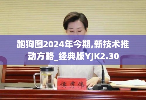 跑狗图2024年今期,新技术推动方略_经典版YJK2.30