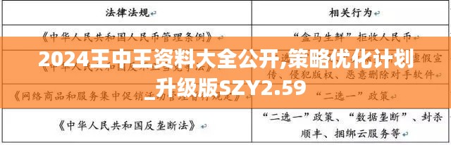 2024王中王资料大全公开,策略优化计划_升级版SZY2.59