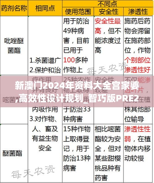 新澳门2024年资料大全宫家婆,高效性设计规划_智巧版PRE2.91