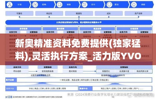 新奥精准资料免费提供(独家猛料),灵活执行方案_活力版YVO2.79
