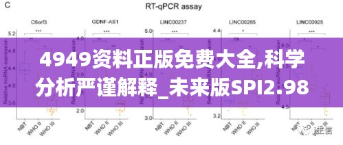 4949资料正版免费大全,科学分析严谨解释_未来版SPI2.98