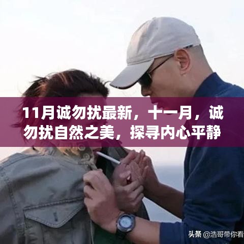 十一月自然之美探寻之旅，诚勿扰的内心平静奇妙之旅