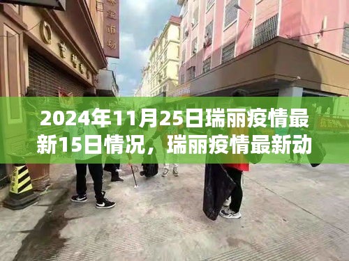 瑞丽疫情最新动态及应对策略指南，近十五日情况详解与应对指南（截至2024年11月25日）