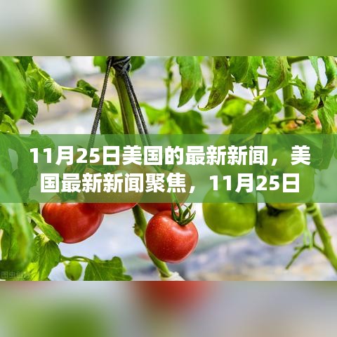 美国最新新闻聚焦，深度解读三大要点（11月25日）