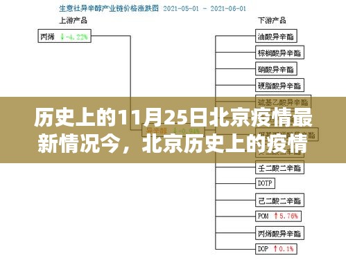 北京疫情回顾，聚焦历史上的11月25日疫情最新情况