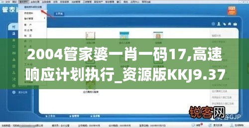 2004管家婆一肖一码17,高速响应计划执行_资源版KKJ9.37