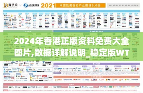 2024年香港正版资料免费大全图片,数据详解说明_稳定版WTG9.68