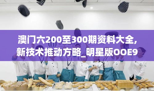 澳门六200至300期资料大全,新技术推动方略_明星版OOE9.93