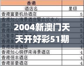 2004新澳门天天开好彩51期,现象分析定义_智巧版EFC9.85