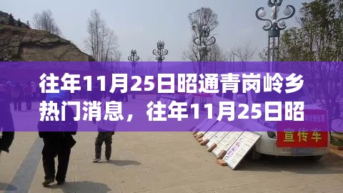 往年11月25日昭通青岗岭乡热门消息深度解析，特性、体验、竞品对比与用户洞察