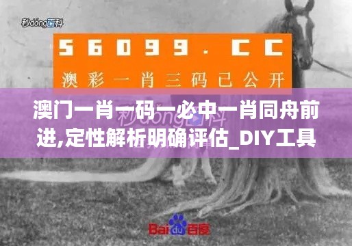 澳门一肖一码一必中一肖同舟前进,定性解析明确评估_DIY工具版FAQ9.57