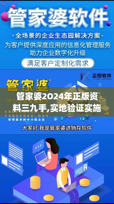 管家婆2O24年正版资料三九手,实地验证实施_升级版YUG9.39