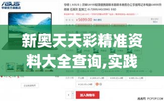 新奥天天彩精准资料大全查询,实践数据分析评估_商务版DJA9.89