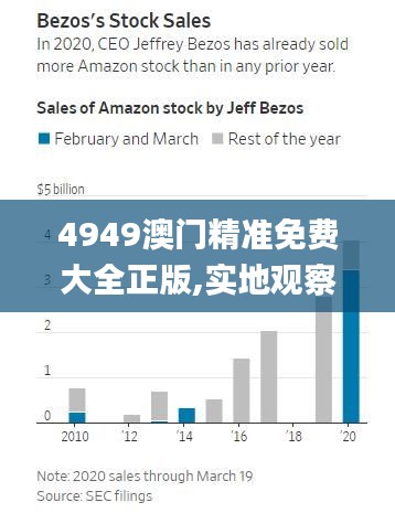 4949澳门精准免费大全正版,实地观察解释定义_数字版PAF9.93