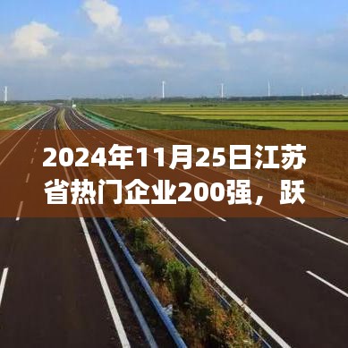 江苏省企业巅峰榜，励志故事与变化成就荣耀之路（2024年江苏省热门企业200强）